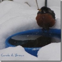 winter water source