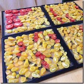 dehydrating