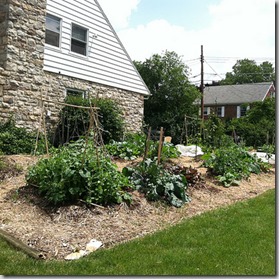 permaculture