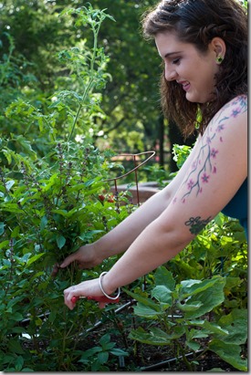 Kalan tomatoes