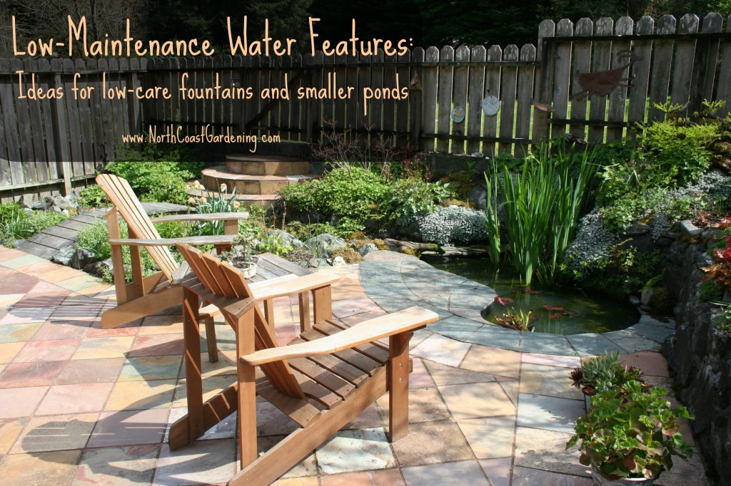 Low-Maintenance Water Features: Ideas for creating your own.