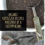 DIY organic fertilizer recipes