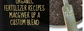 DIY organic fertilizer recipes