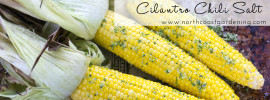 Roasted Corn with Cilantro Chili Salt from www.northcoastgardening.com